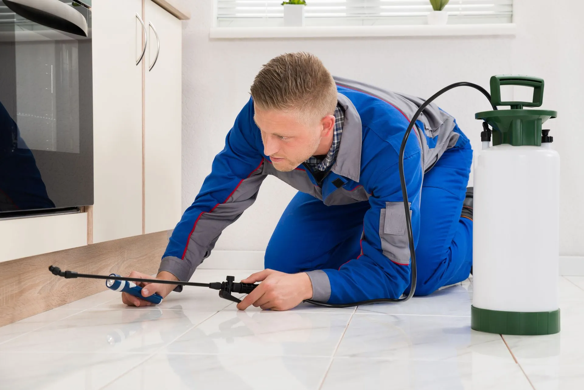 How to Choose the Right Pest Exterminator for Your Home